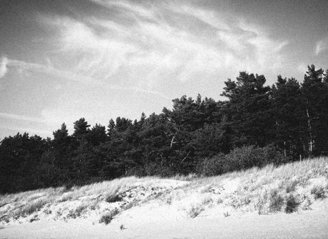 Paplūdimyje / In the beach