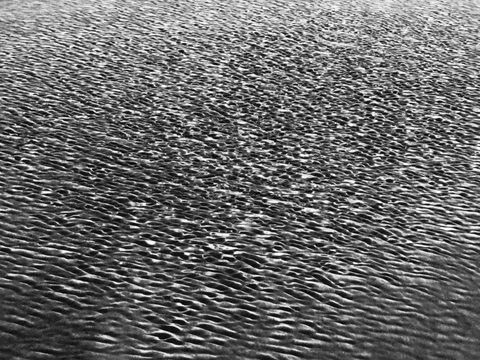 Krateriai / Craters