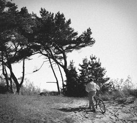 Vėjo paliesti / Touched by the wind