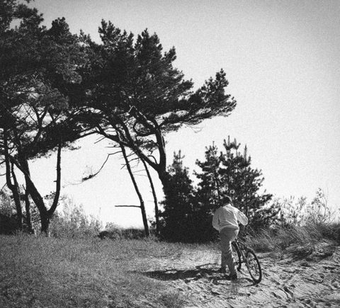 Vėjo paliesti / Touched by the wind