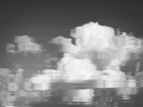 Dangaus lašelis / Drop of heaven