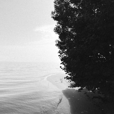 Sapno vingyje / along the path of a dream