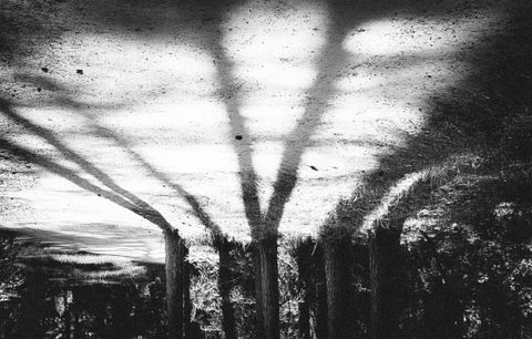 Erdvės šaknys / The roots of space