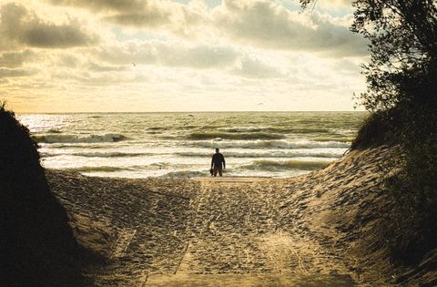 Sugrįžimas / The return