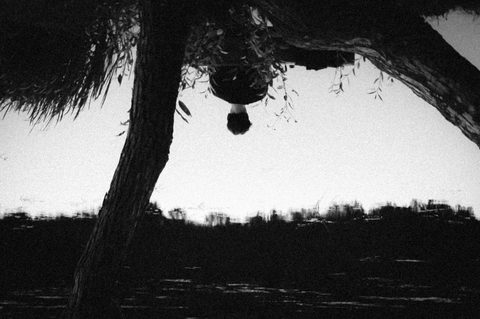 Anapus paviršiaus / Beyond the surface