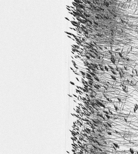 Erdvės / Spaces