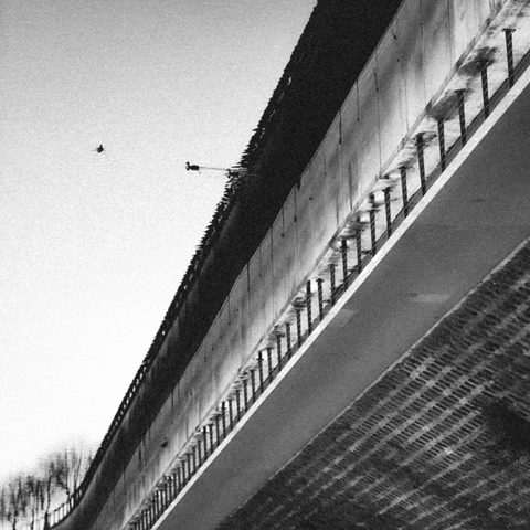 Trajektorija / Trajectory