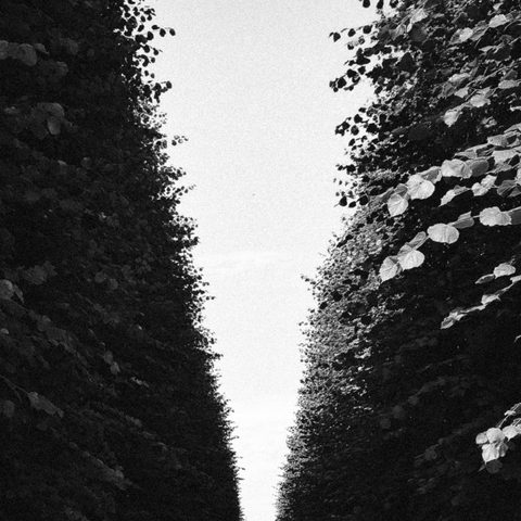 Dangaus kelias / Road of Heaven
