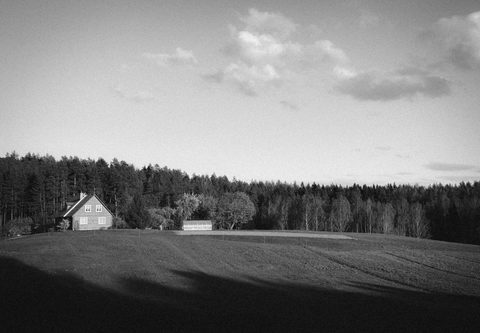 Namai, vaikystė... / Home, childhood...